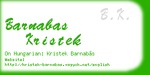 barnabas kristek business card